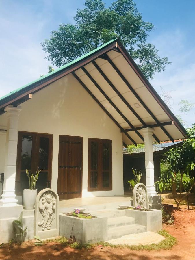 The Wild Culture Hotel Sigiriya Exterior foto