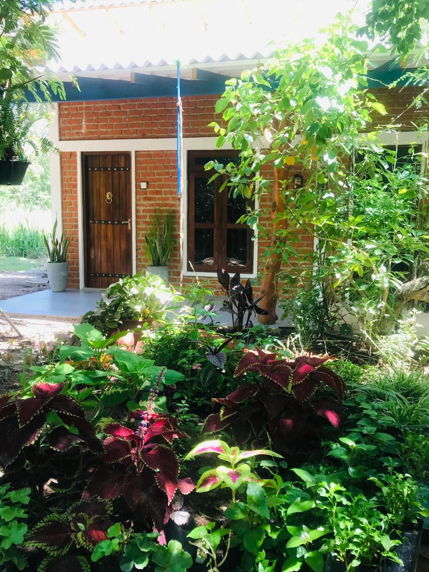 The Wild Culture Hotel Sigiriya Exterior foto